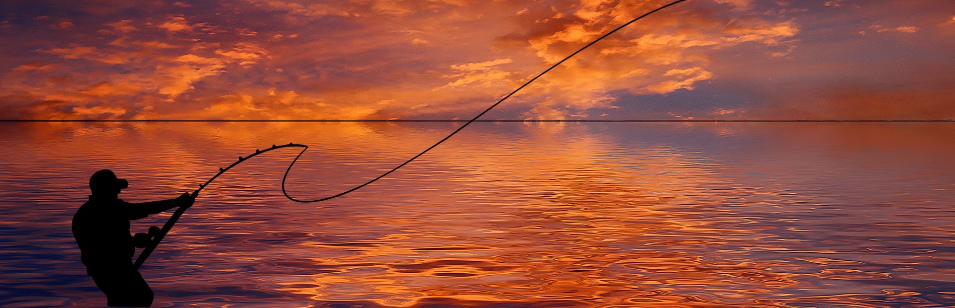 Fishing at Lotus Lakes cover image