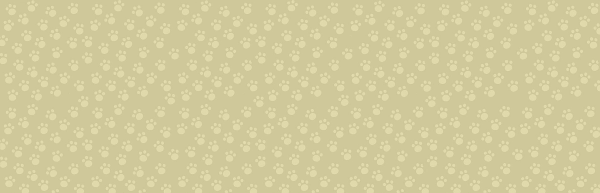 Cat Secretary cover image