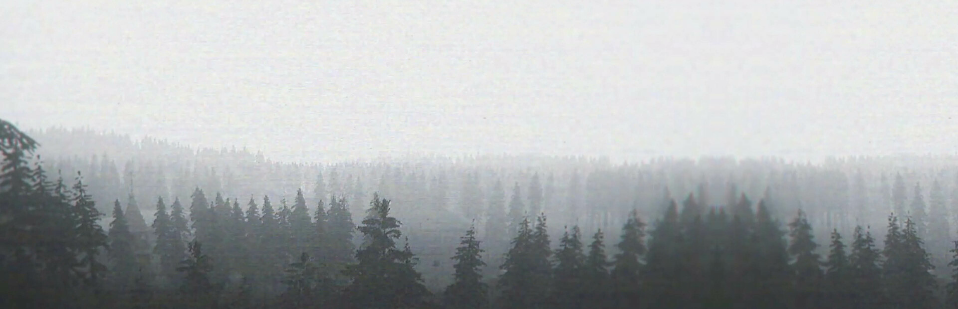 KARJALA cover image