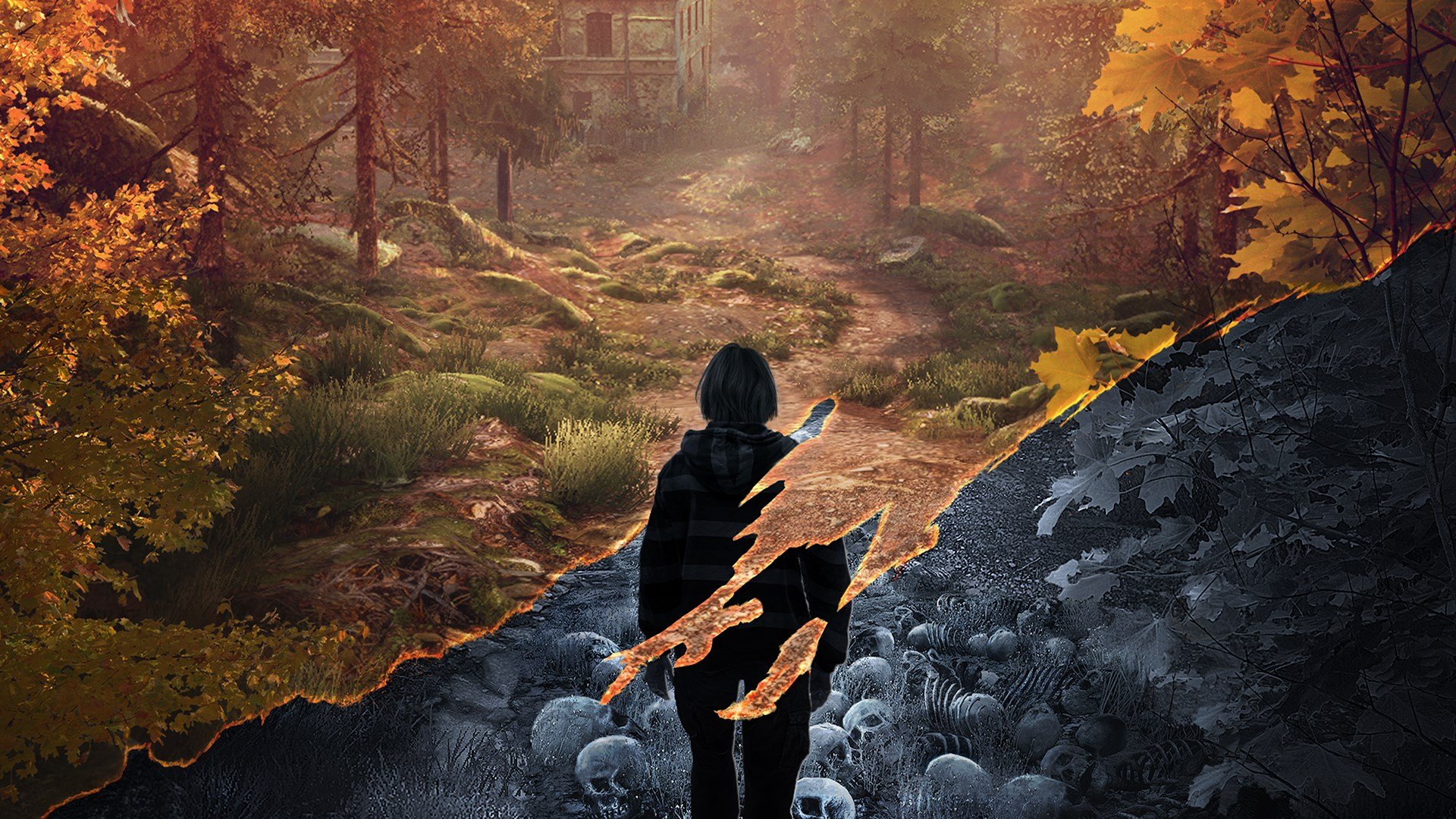The Vanishing of Ethan Carter cover image