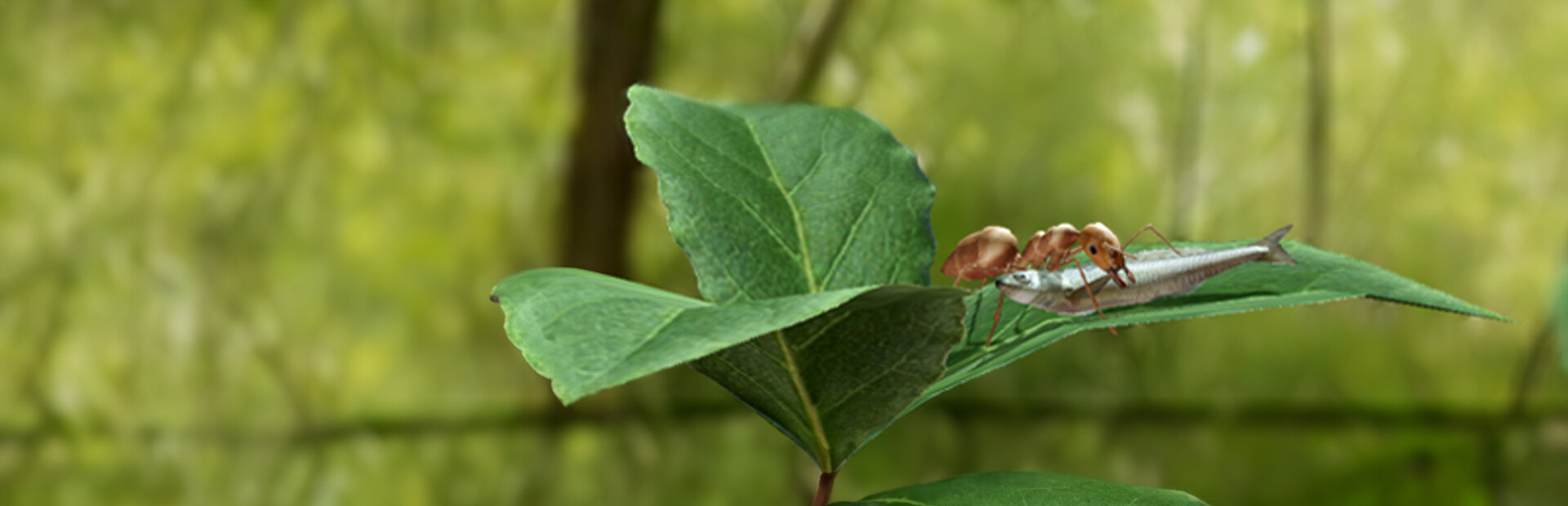 Eating Nature cover image