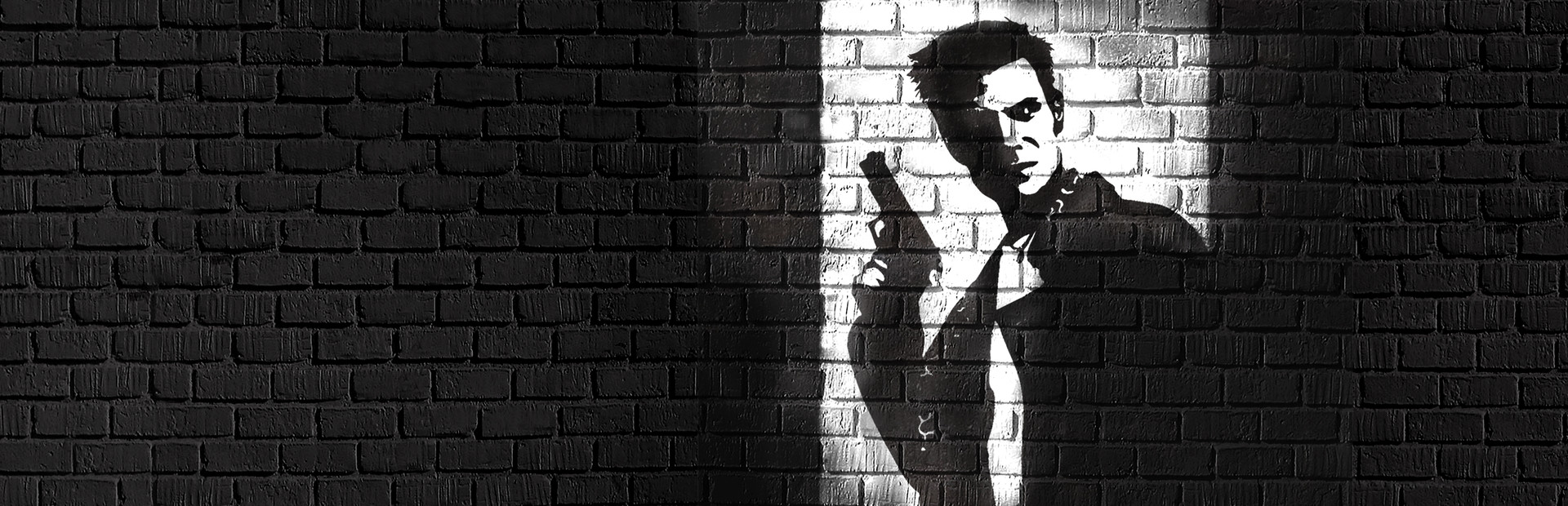 Max Payne cover image