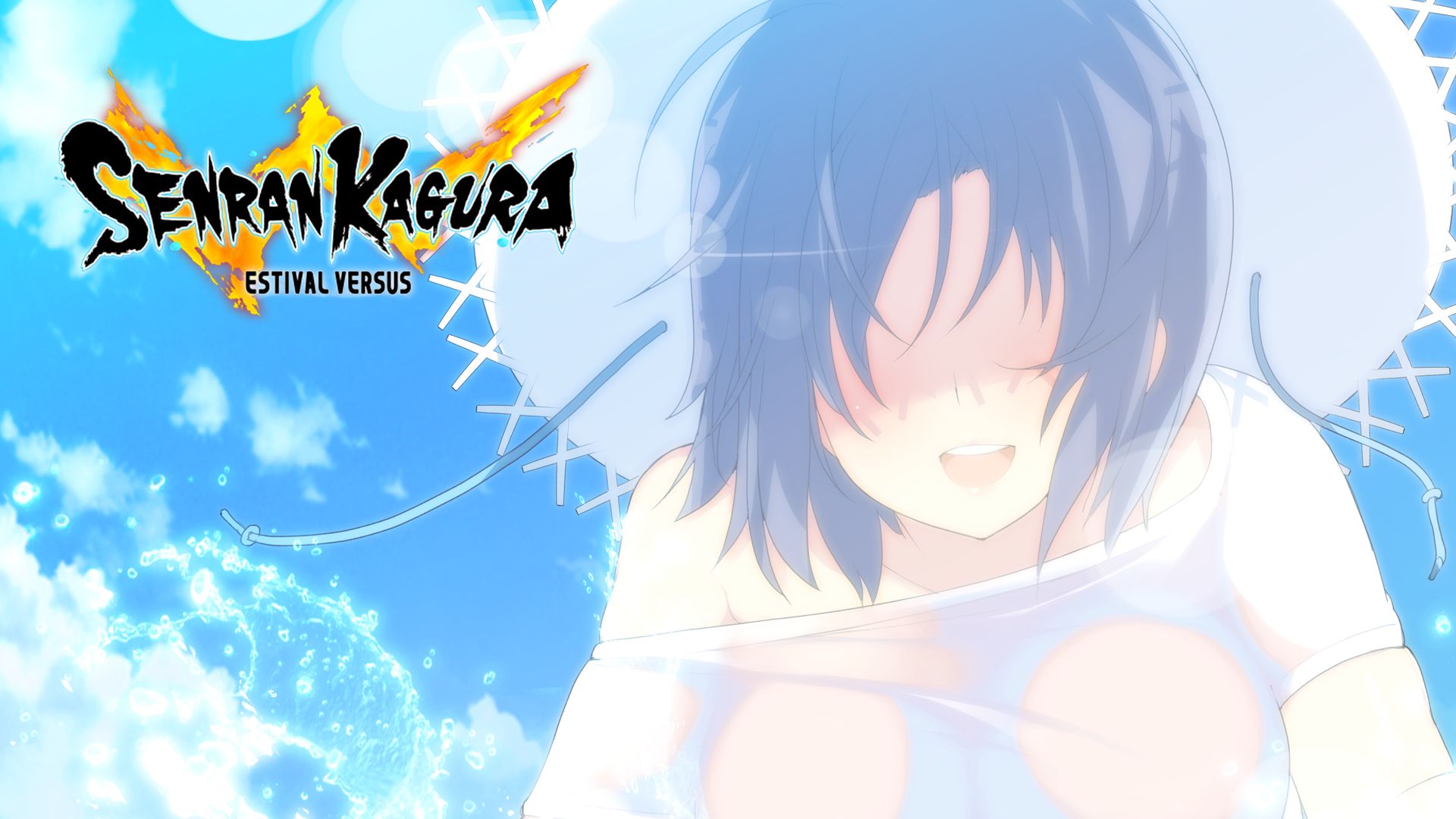 SENRAN KAGURA ESTIVAL VERSUS cover image