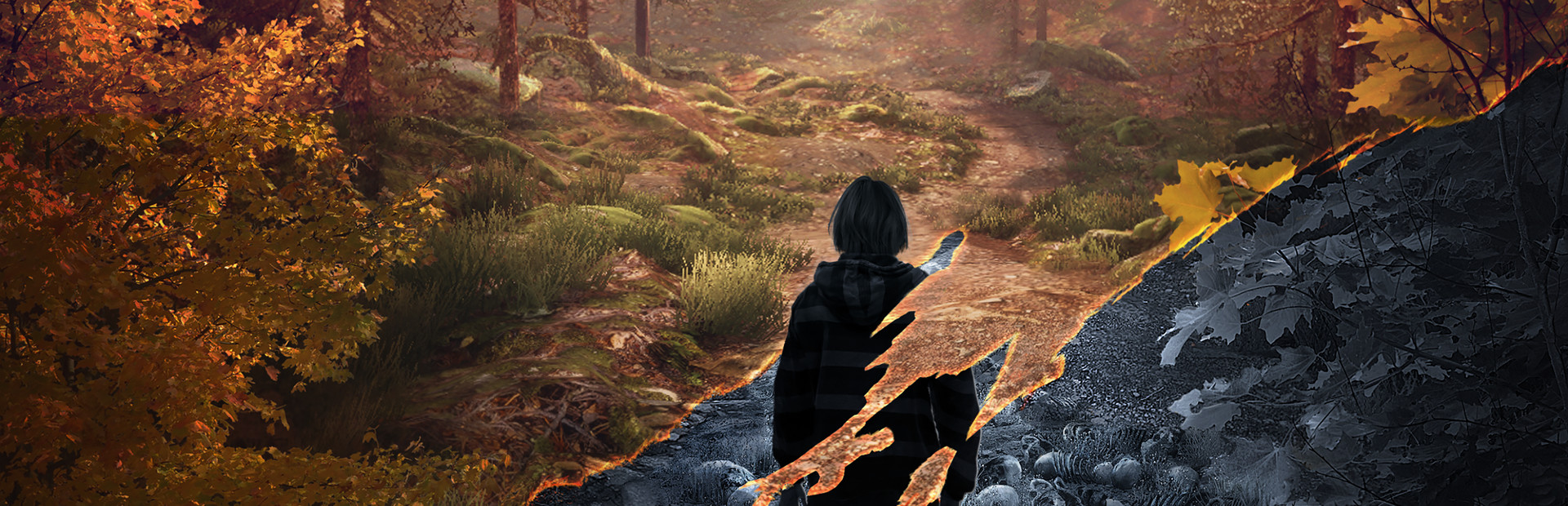 The Vanishing of Ethan Carter VR cover image