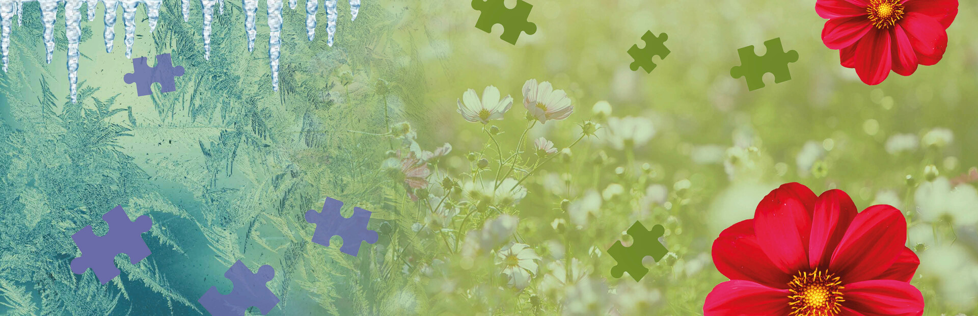 Puzzle Pieces 4: Farewell Dear Winter cover image