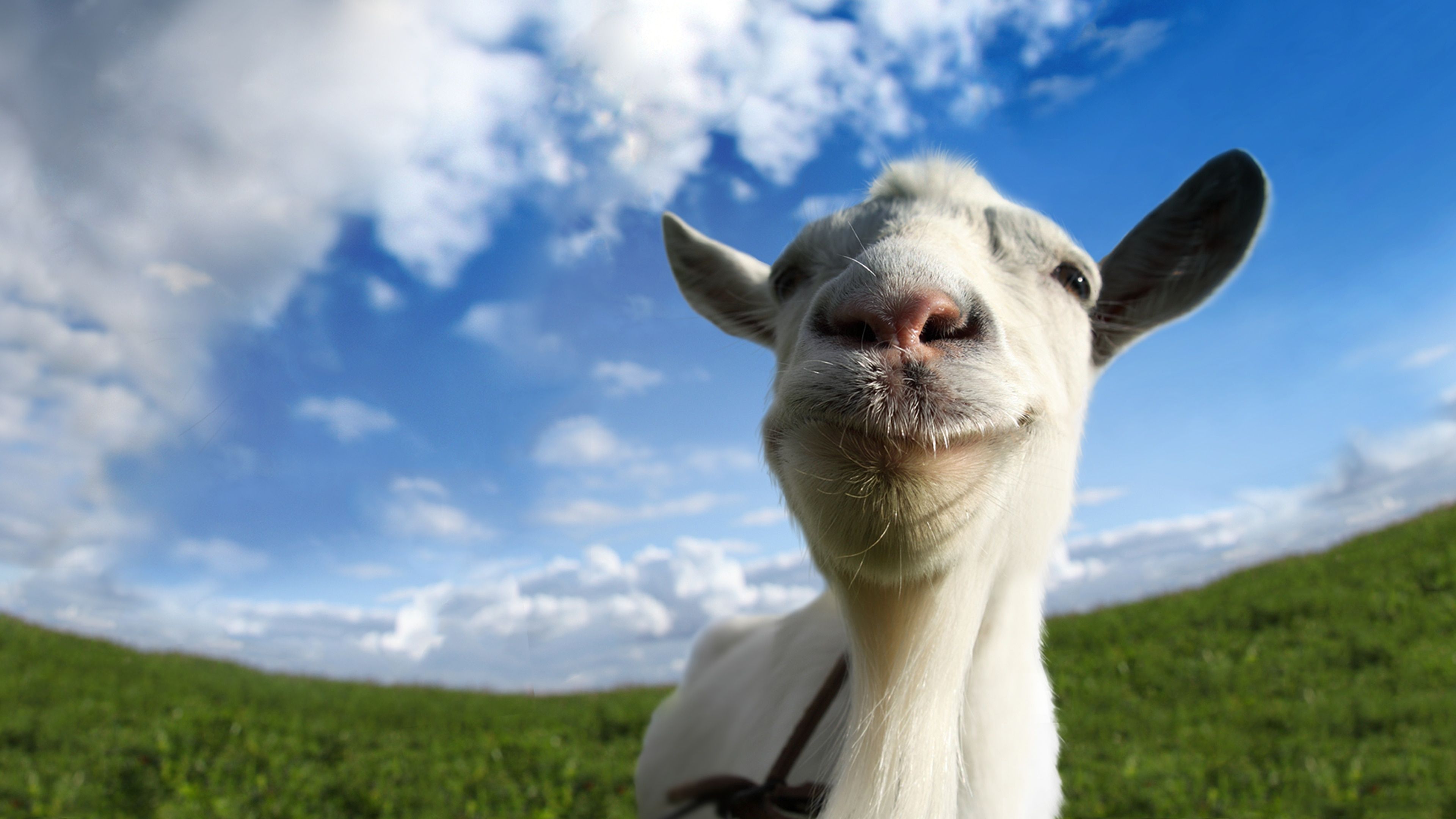 Goat Simulator cover image