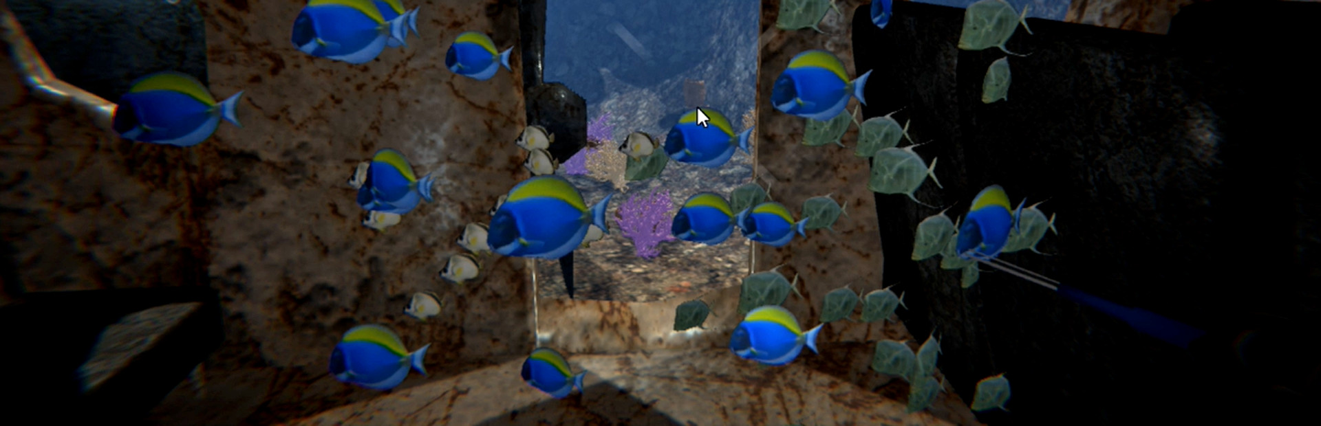 Lionfish Reef Patrol cover image