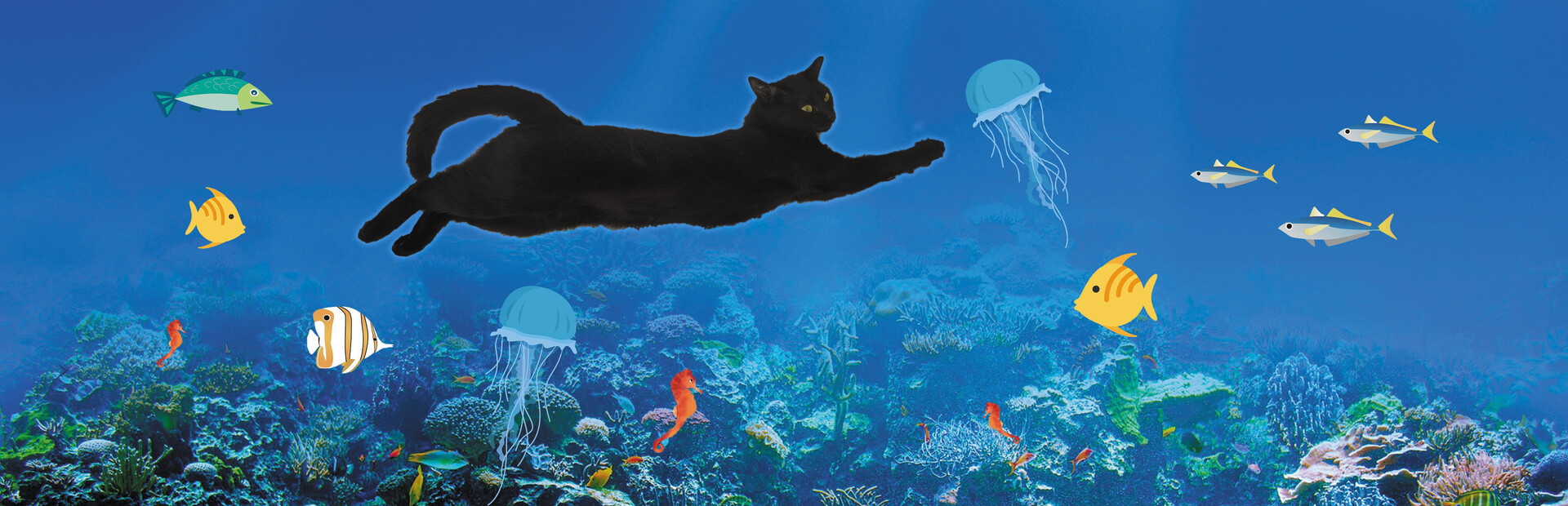 Fishing On My Desktop cover image