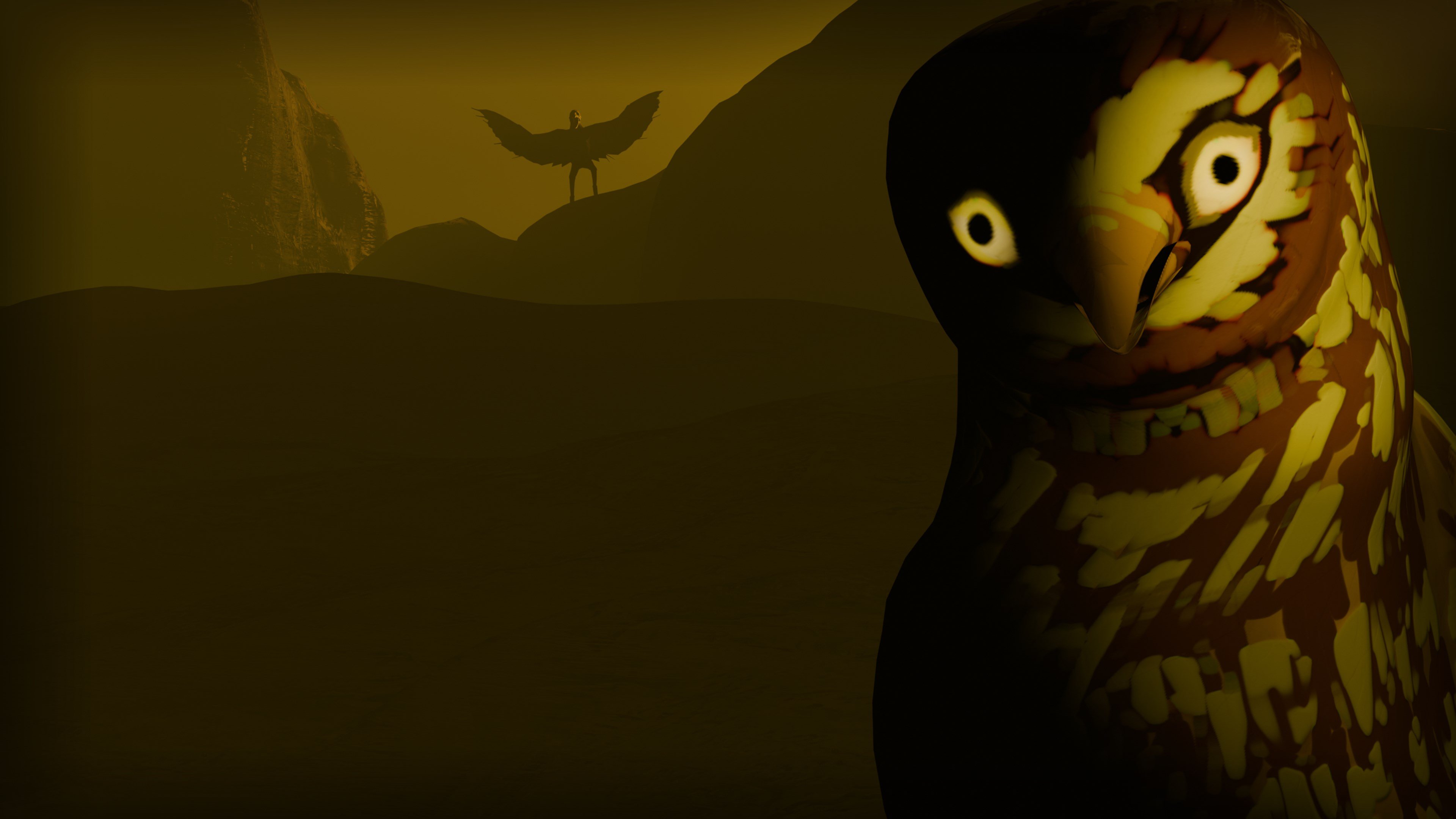 Birds Watching cover image