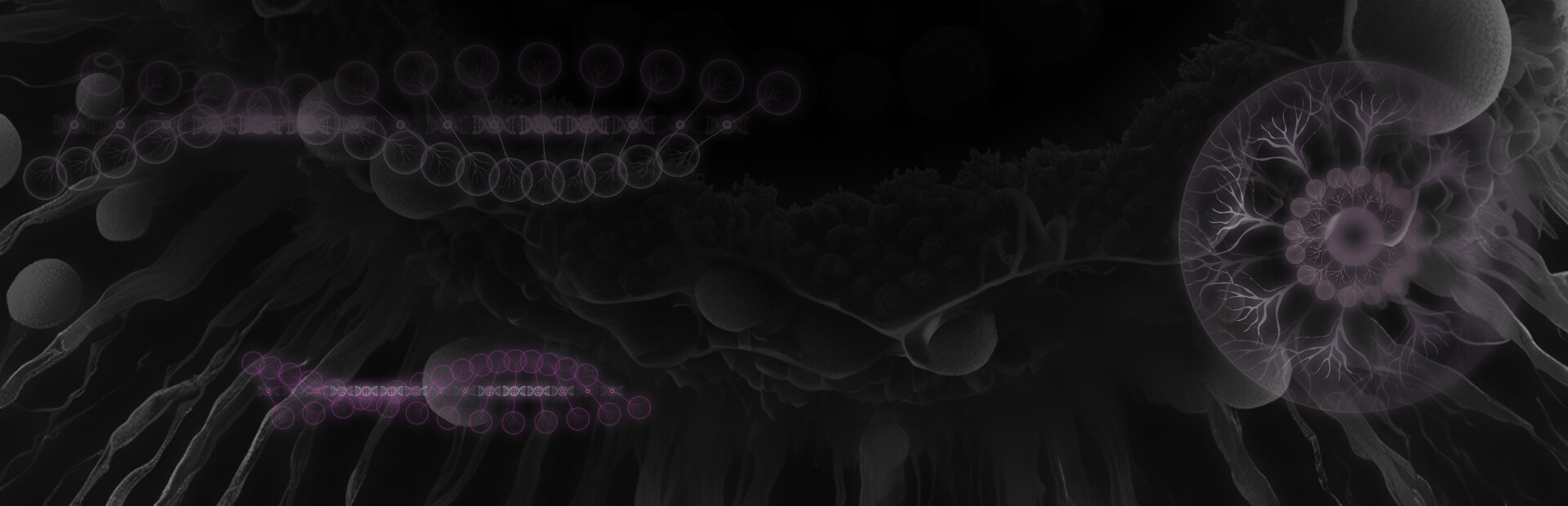 Propa. cover image