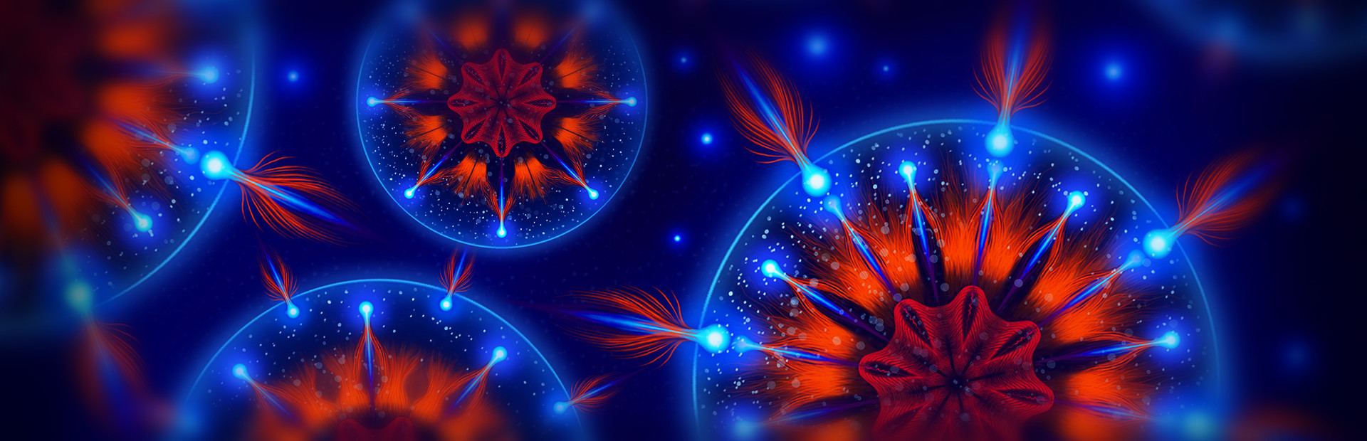 Microcosmum: survival of cells cover image
