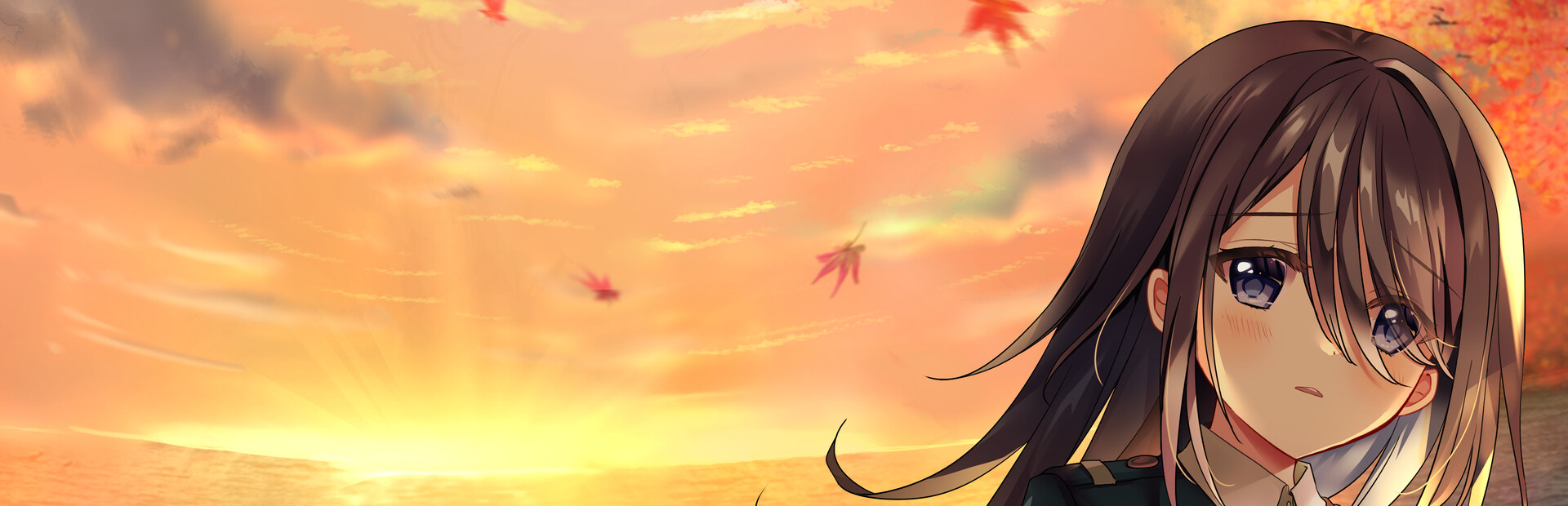 Akizora Memories - Horizon of Fate - cover image