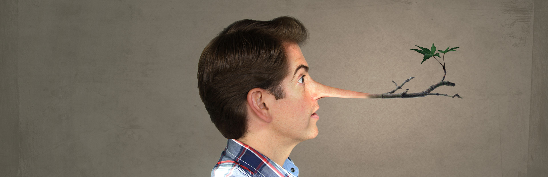 Fibbage XL cover image