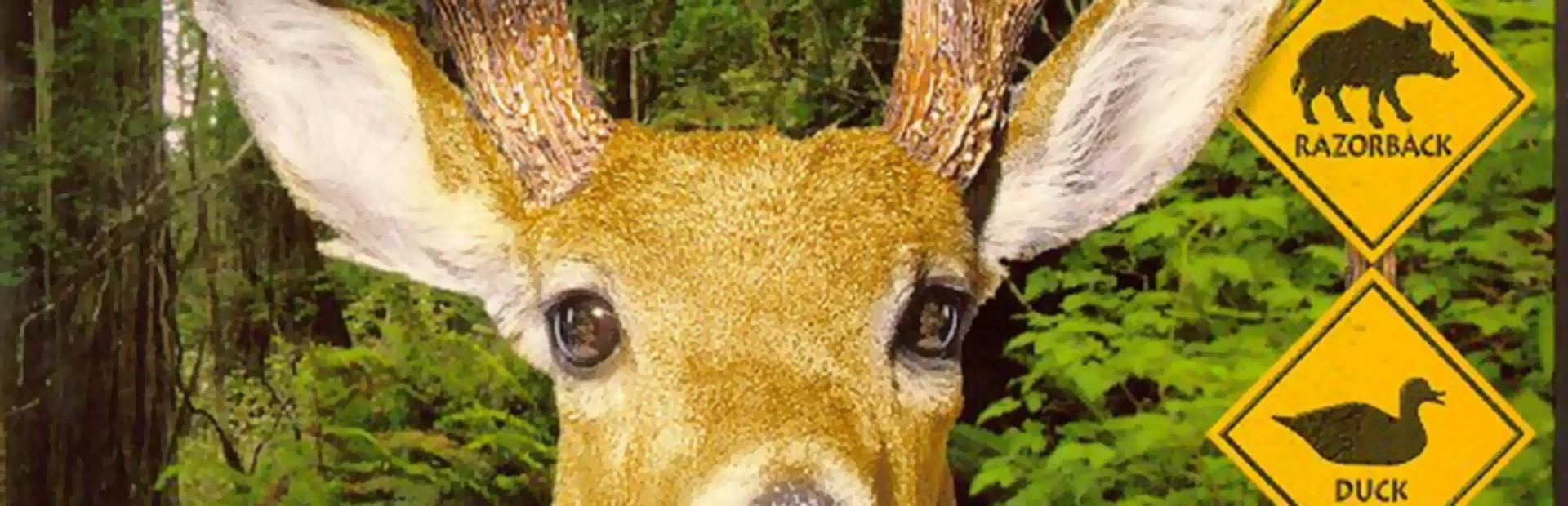 Redneck Deer Huntin' cover image