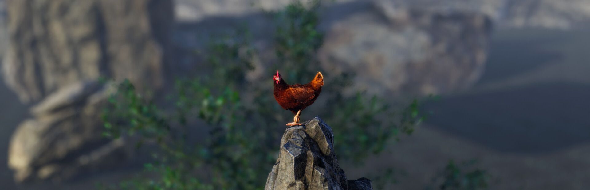 Unlucky Chicken cover image