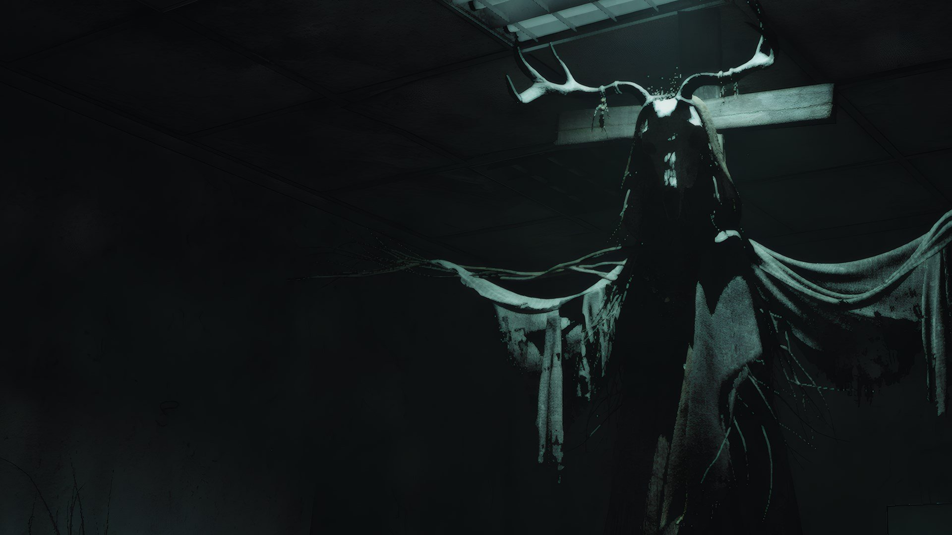 Fear The Timeloop cover image