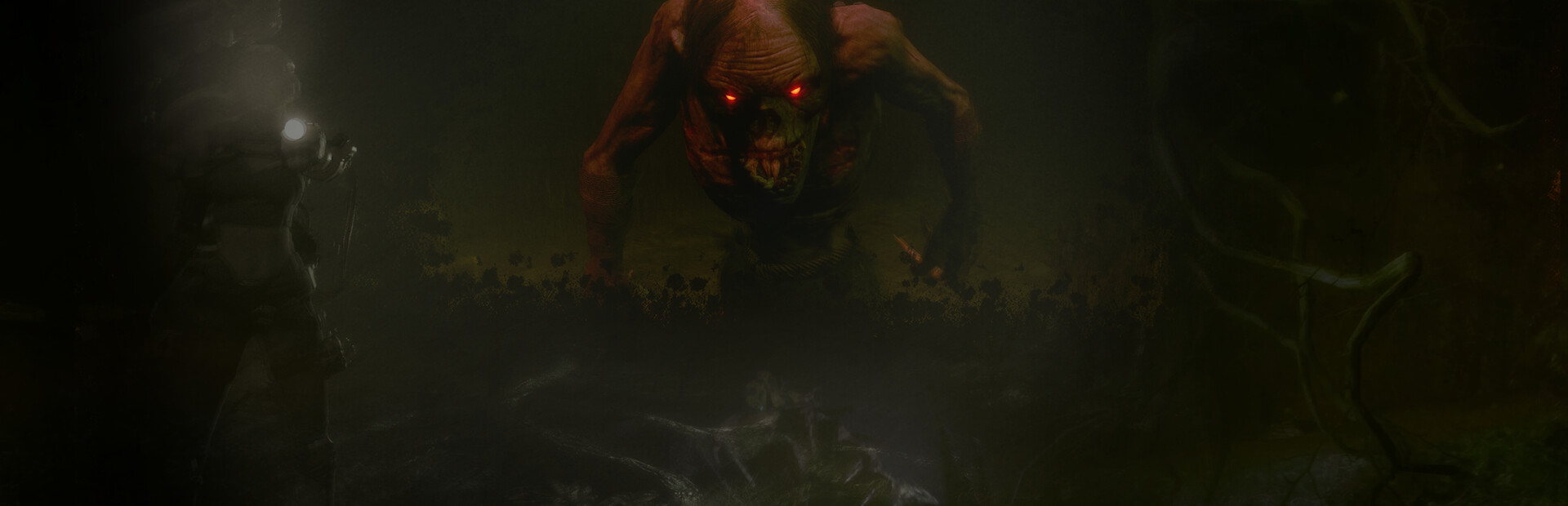FORMIDO cover image
