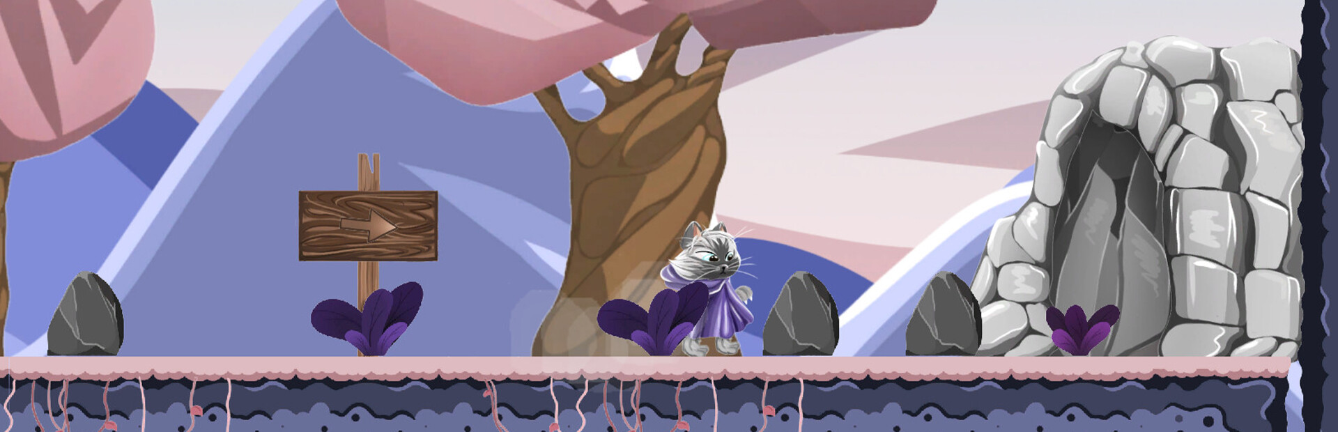 STRAY CAT cover image