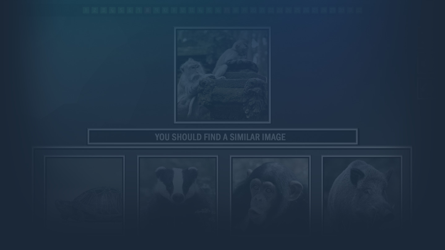 Repeat the image: Animals cover image