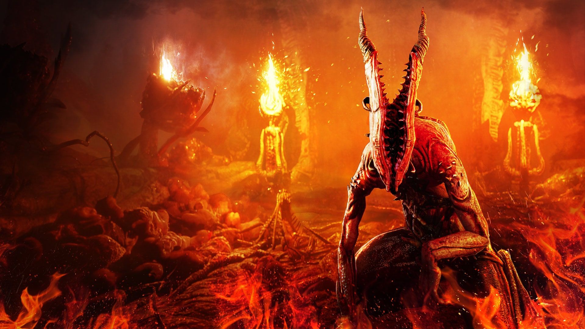 Agony cover image