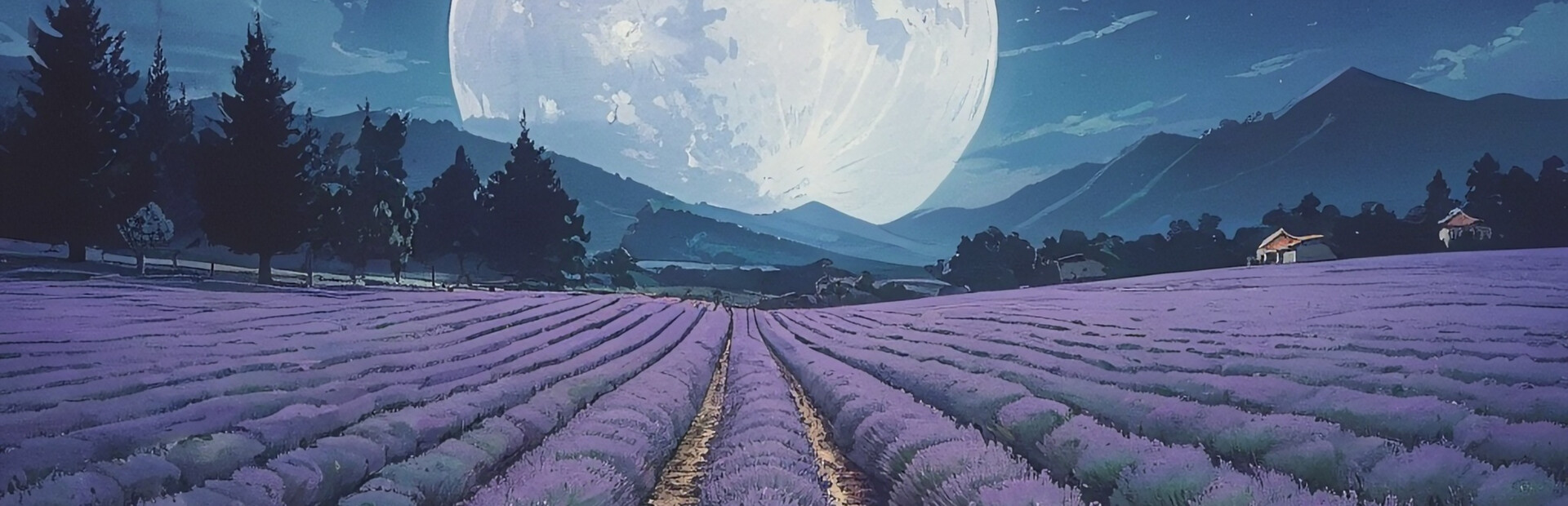 Lavender Dream cover image