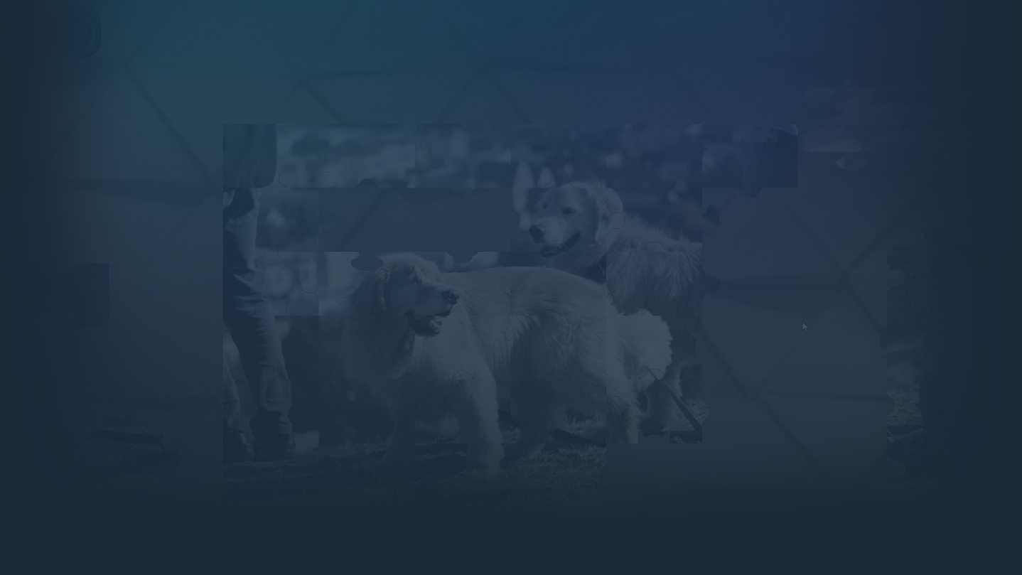 Puzzles for smart: Dogs cover image