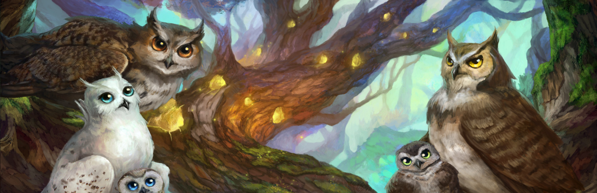 Riddles of the Owls Kingdom cover image