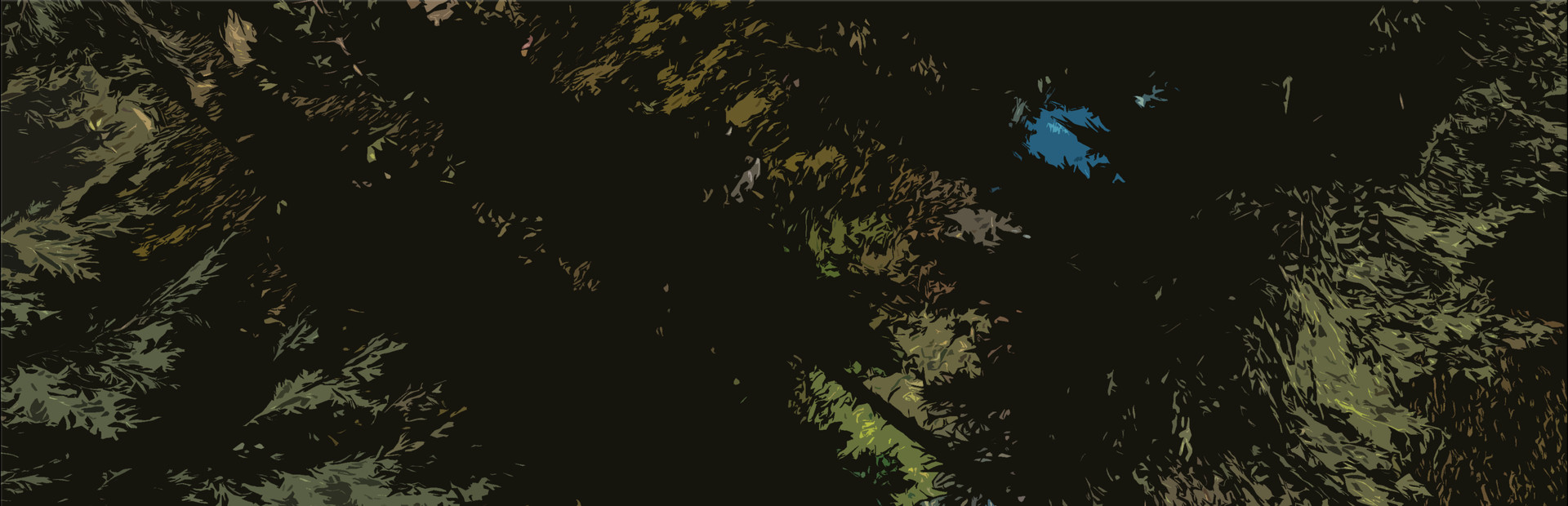 Dark Forester cover image