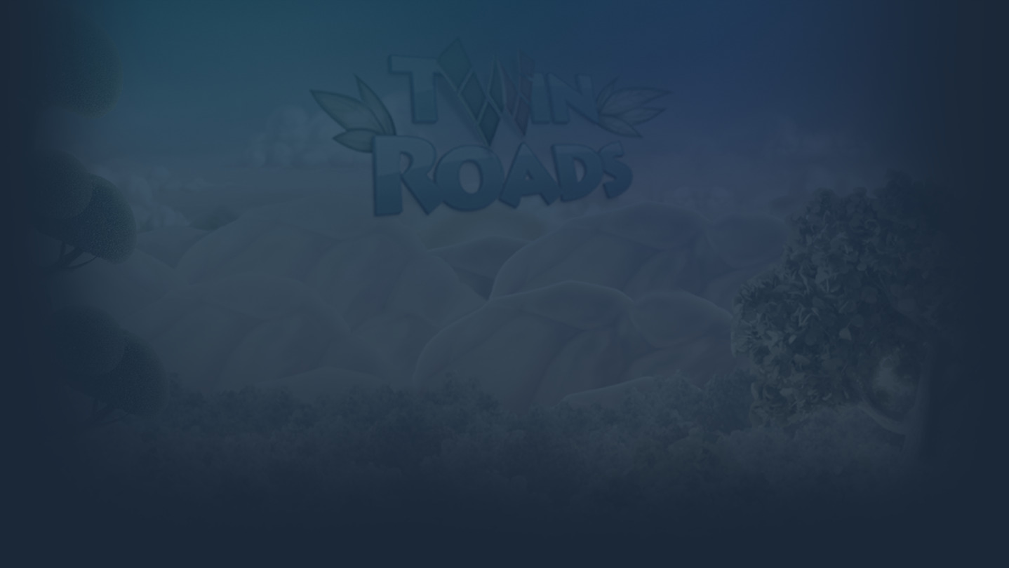 Twin Roads cover image