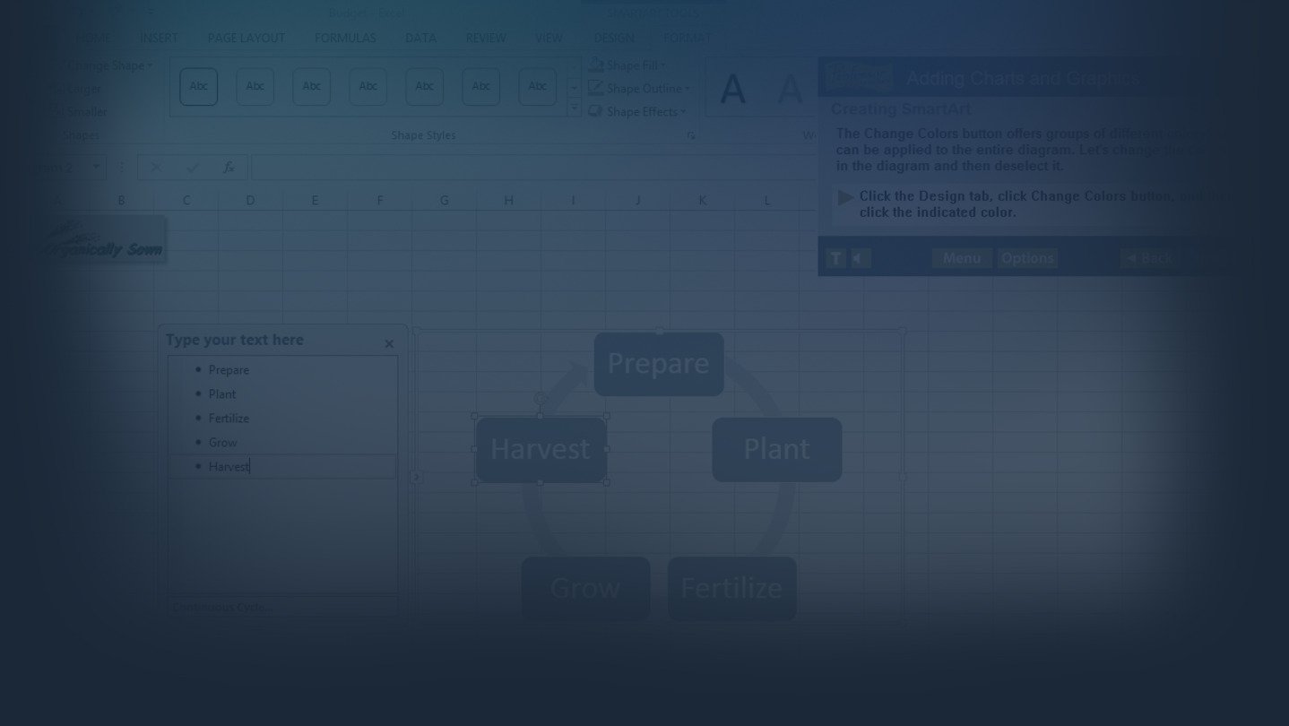 Professor Teaches® Excel 2013 & 365 cover image