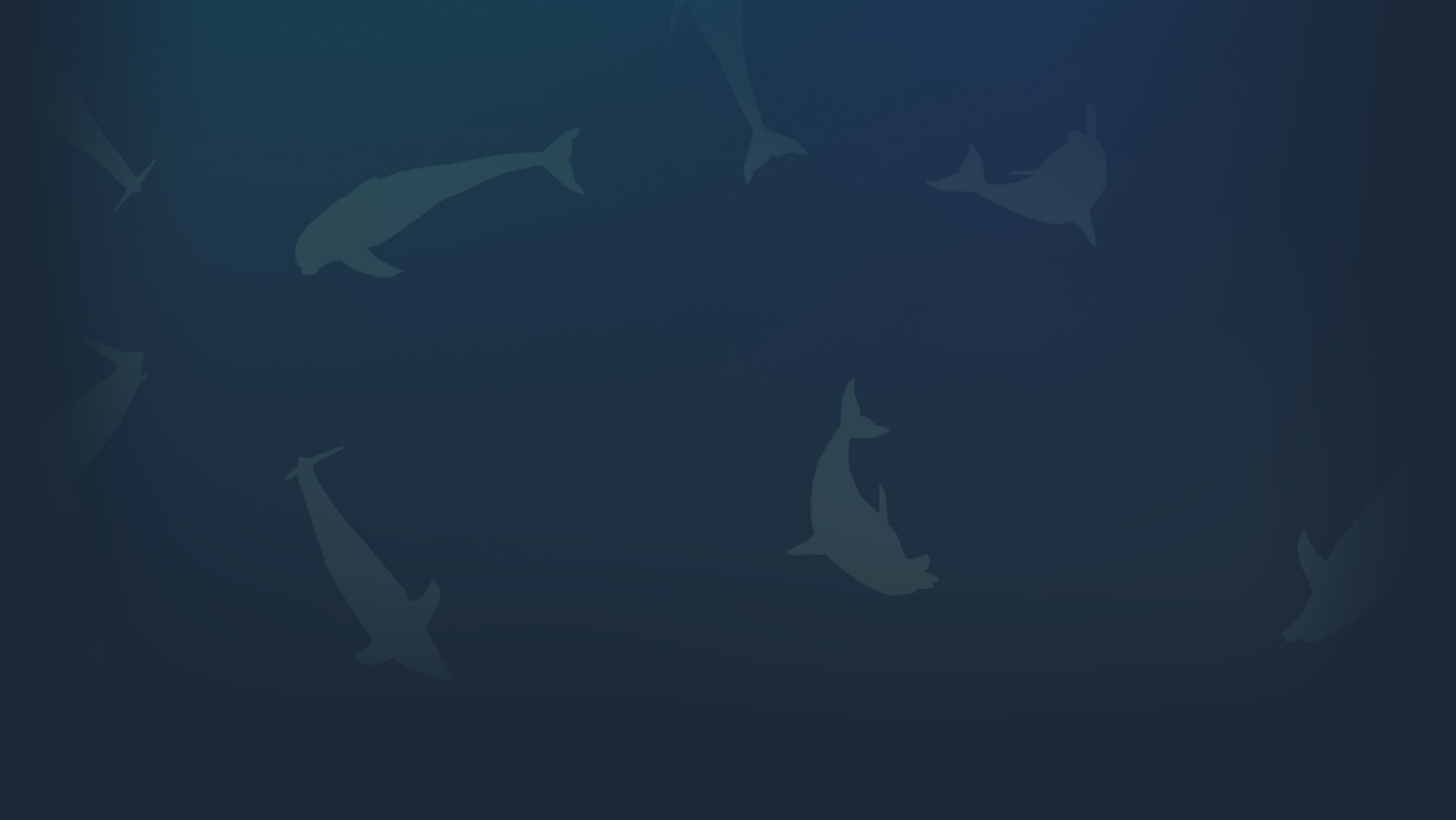 Dolphin Defense cover image