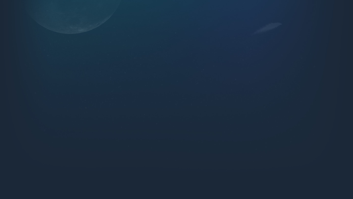 Dolphin Up cover image