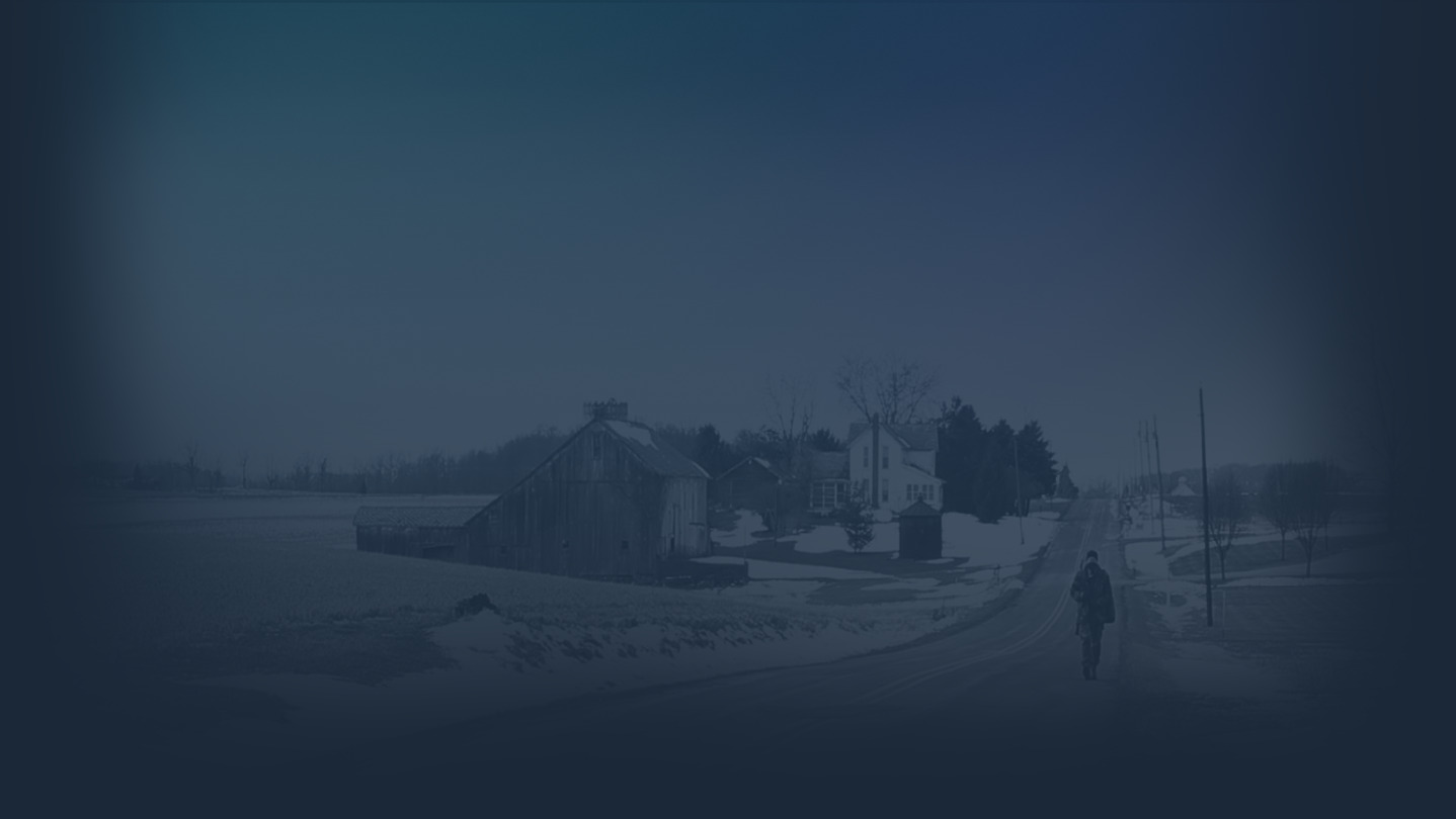 The Stray cover image