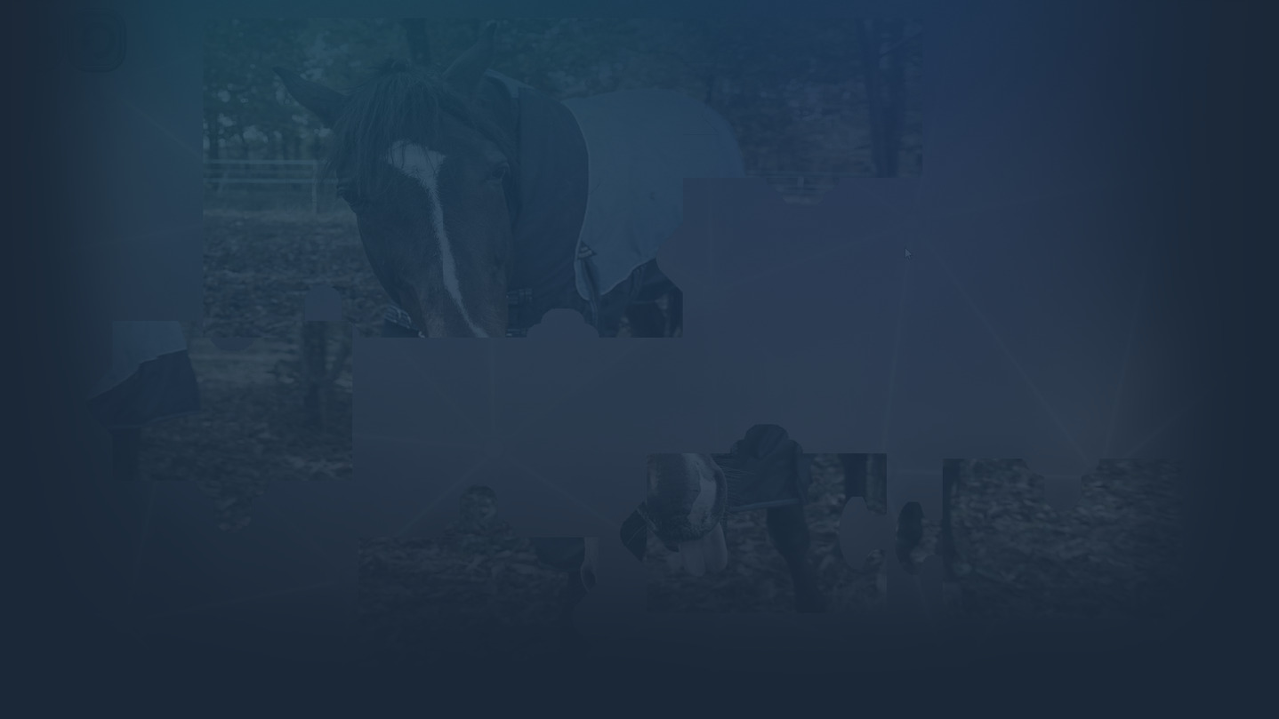 Puzzles for smart: Horses cover image