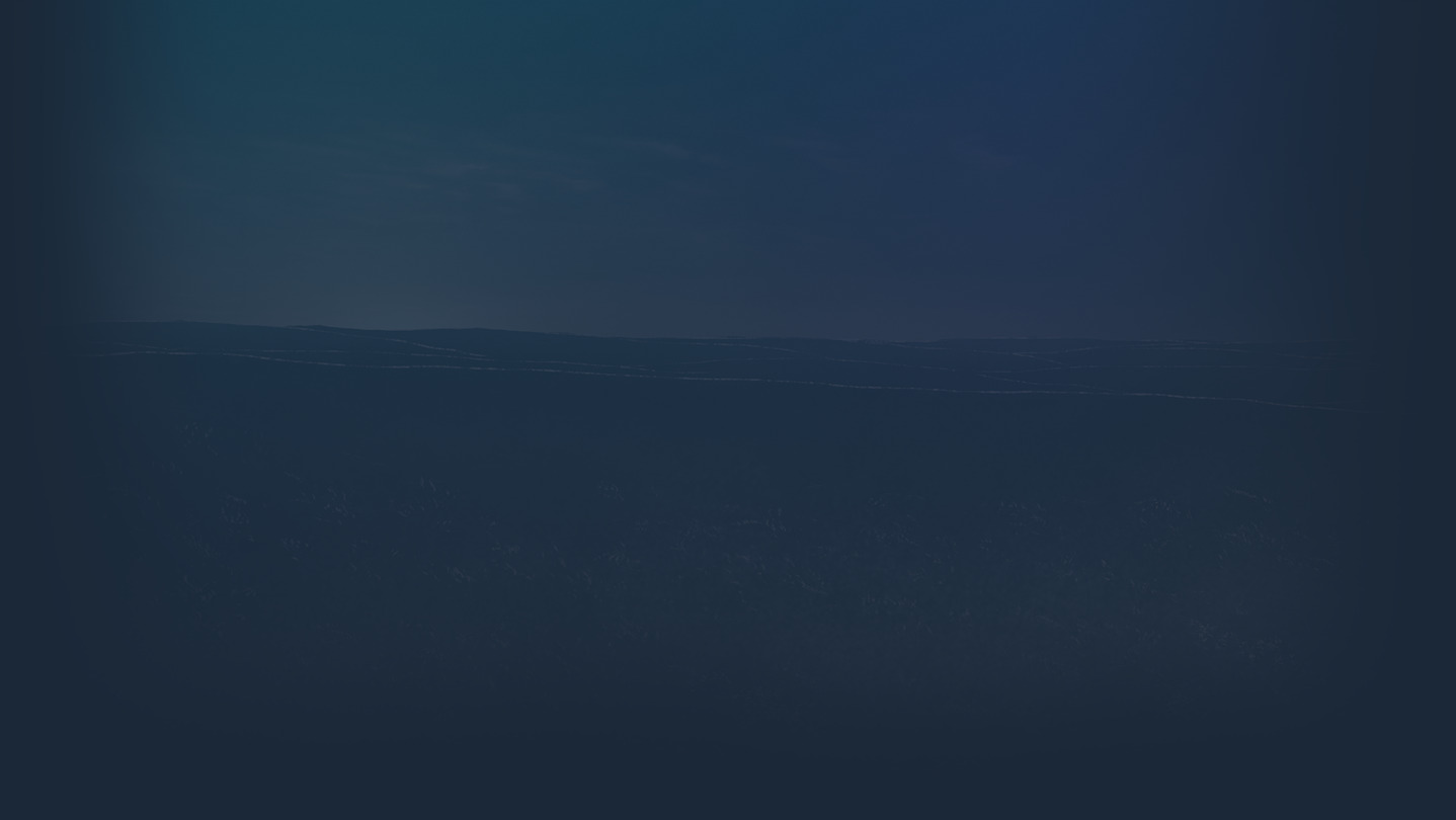 Unroaded cover image