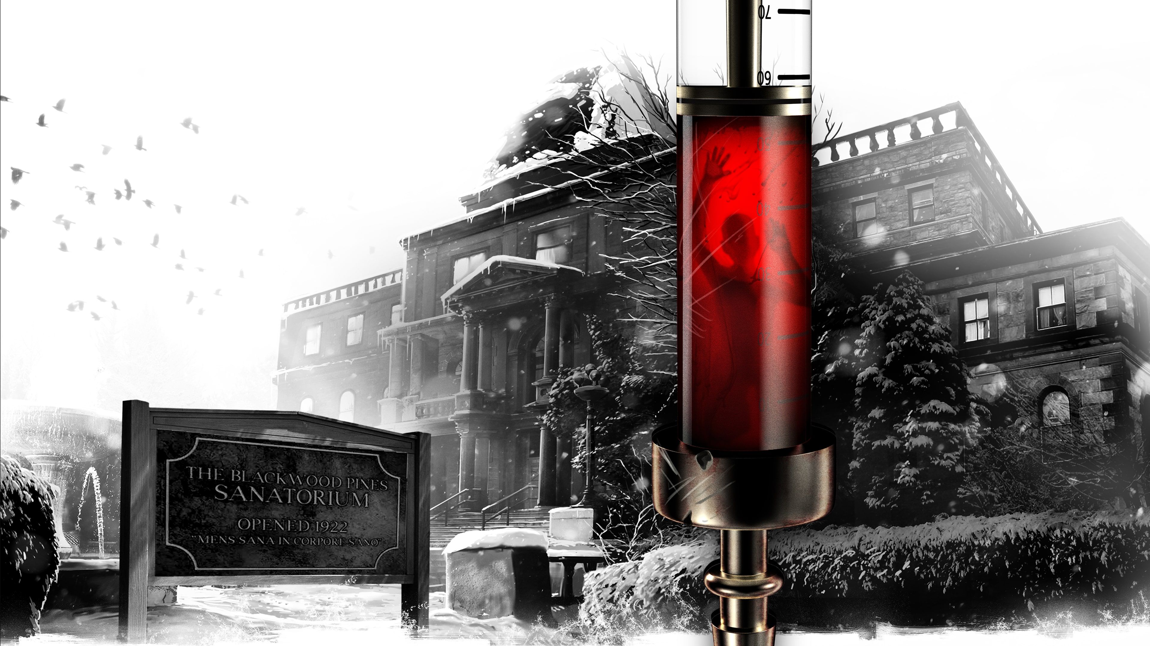 The Inpatient cover image