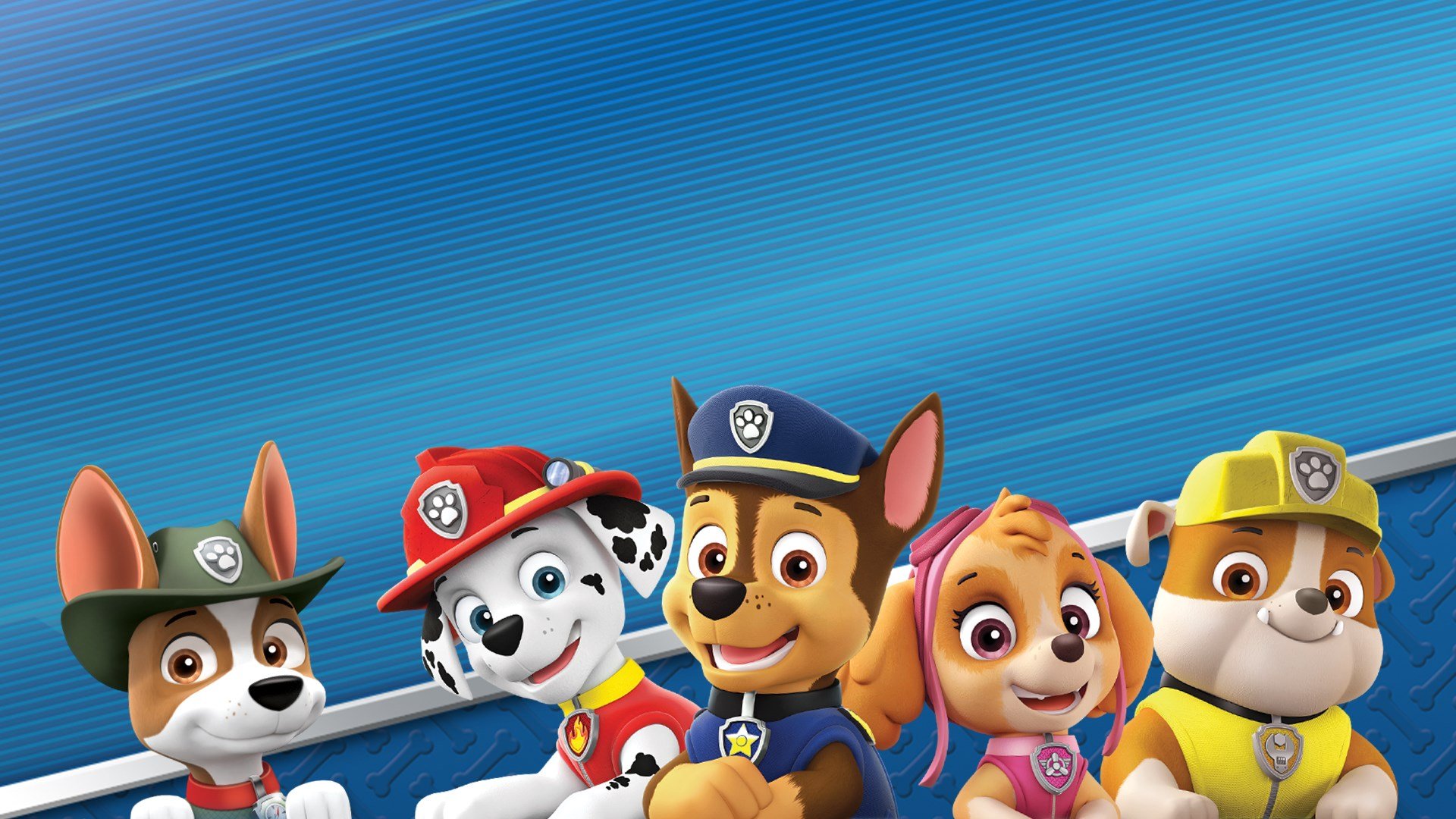 Paw Patrol: On a Roll cover image