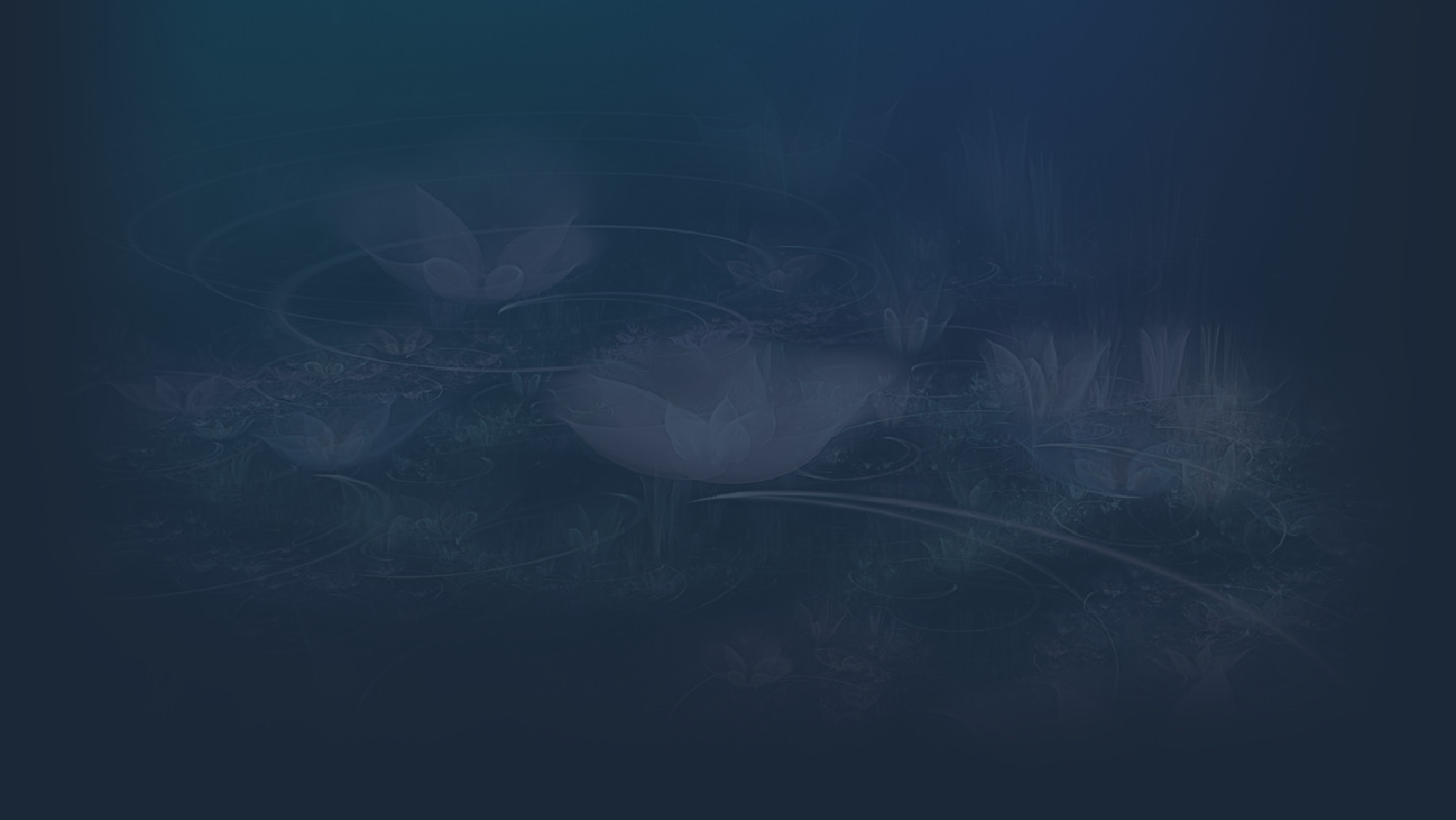 Space Flowers cover image
