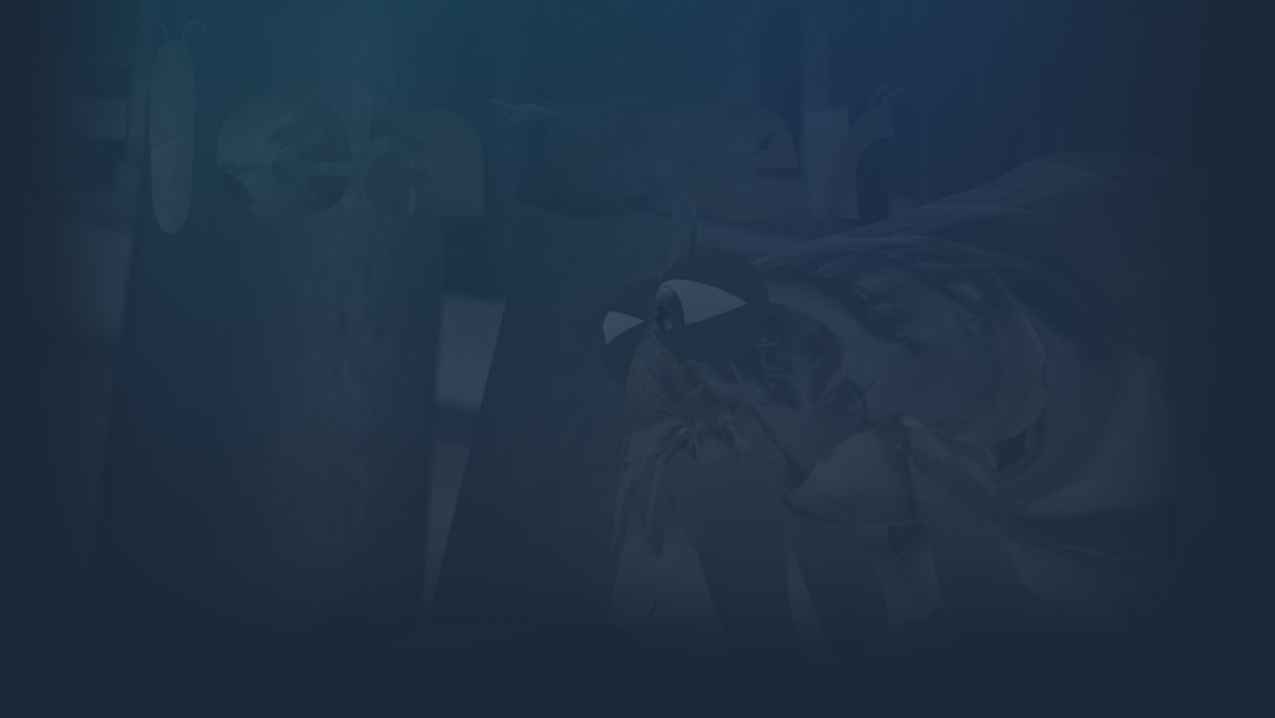 Fleazer cover image