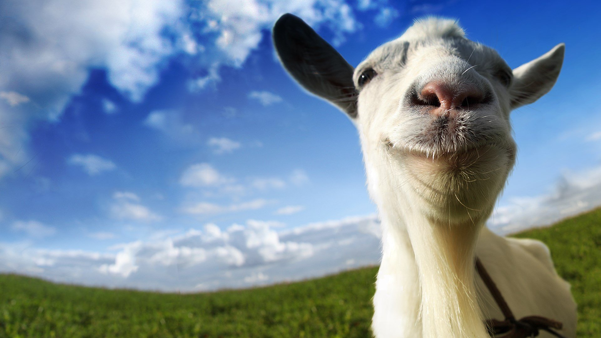 Goat Simulator cover image