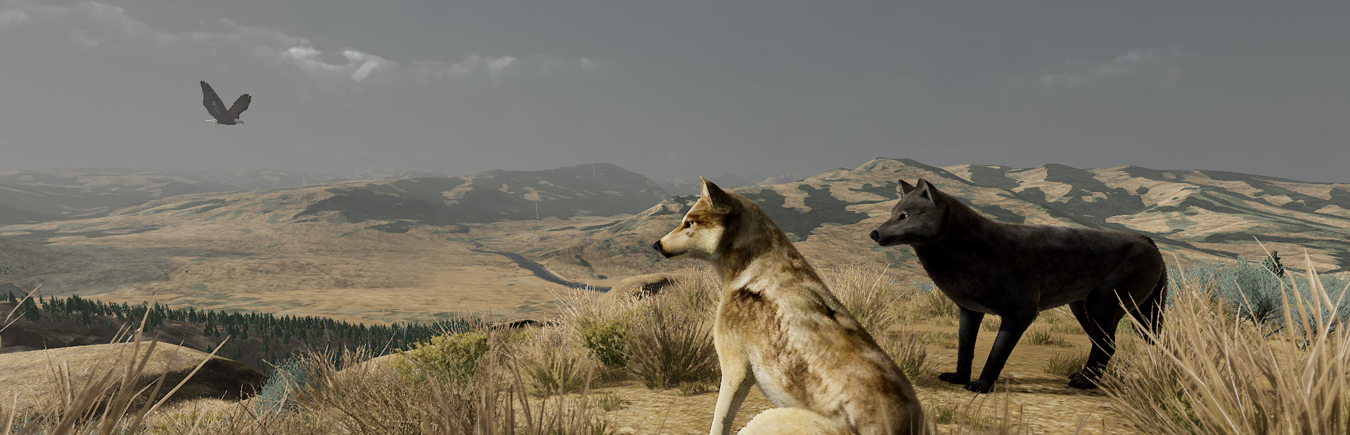 WolfQuest: Anniversary Edition cover image