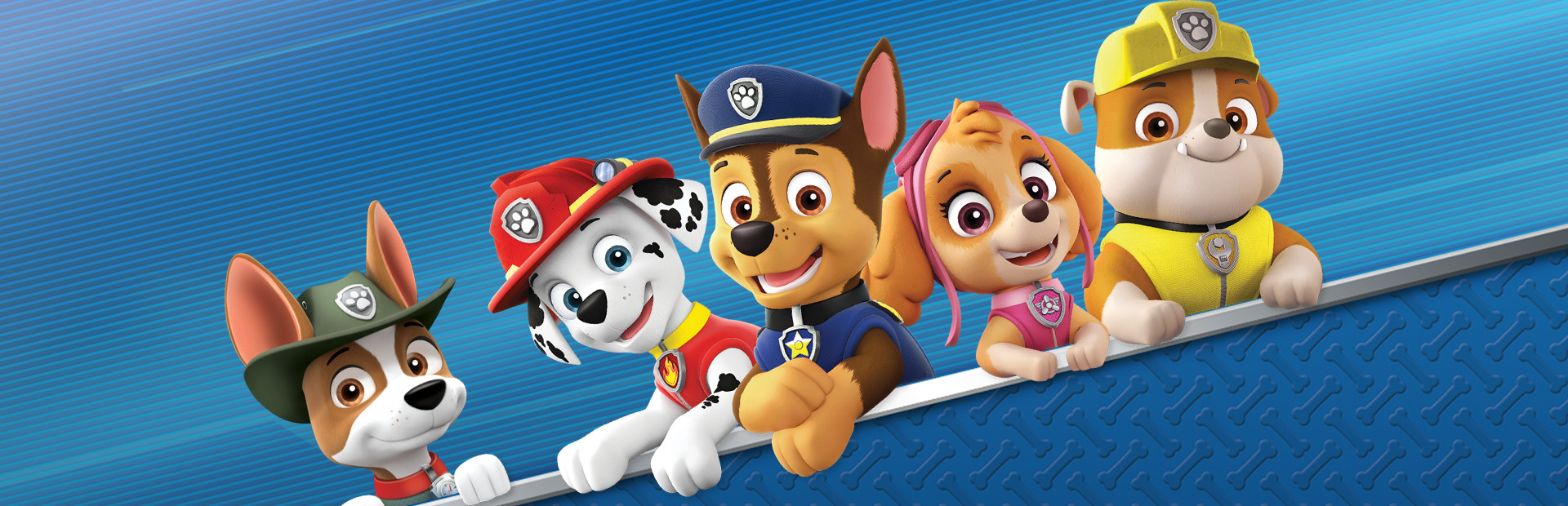 Paw Patrol: On A Roll! cover image