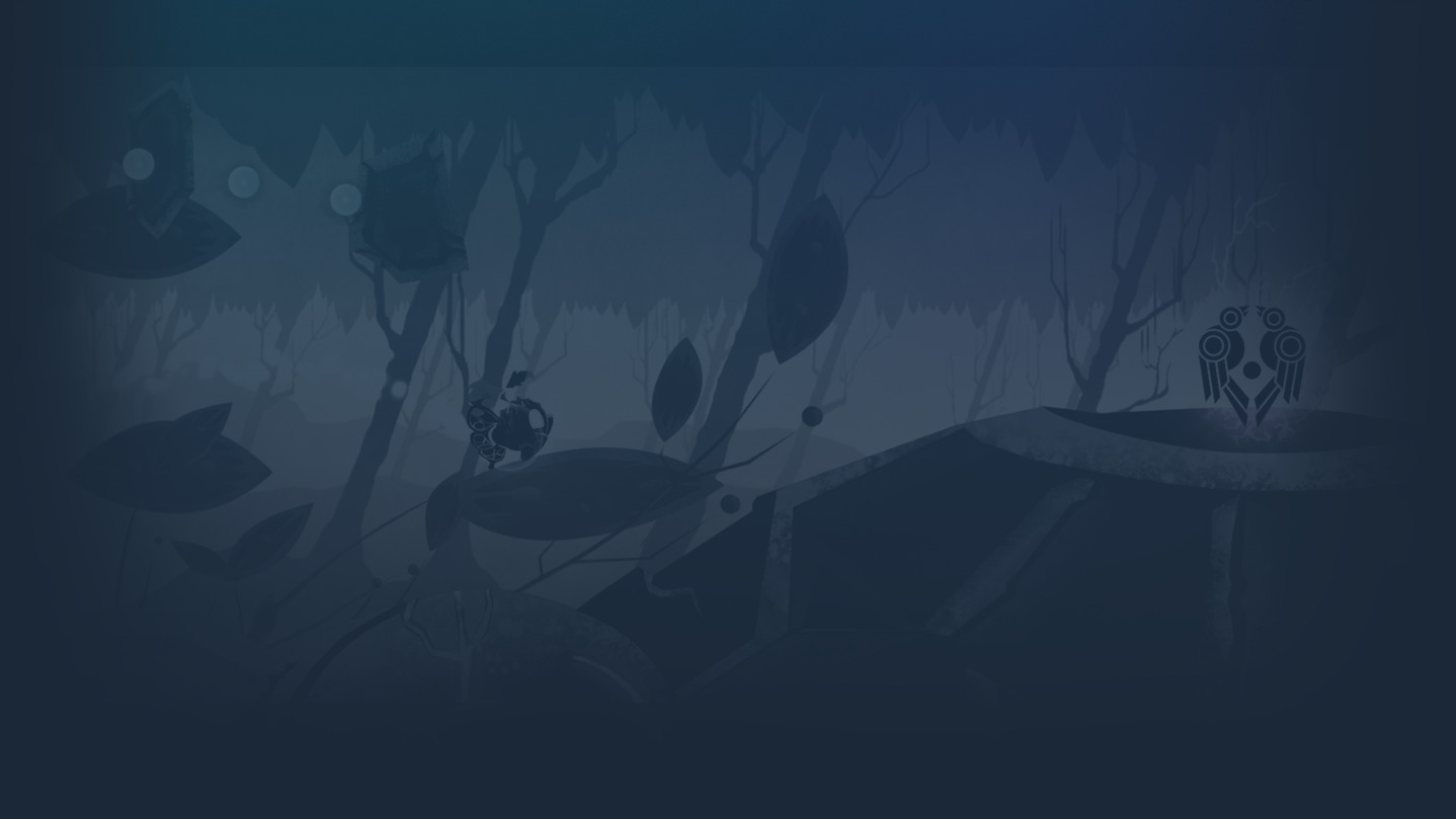 DNO Rasa's Journey cover image