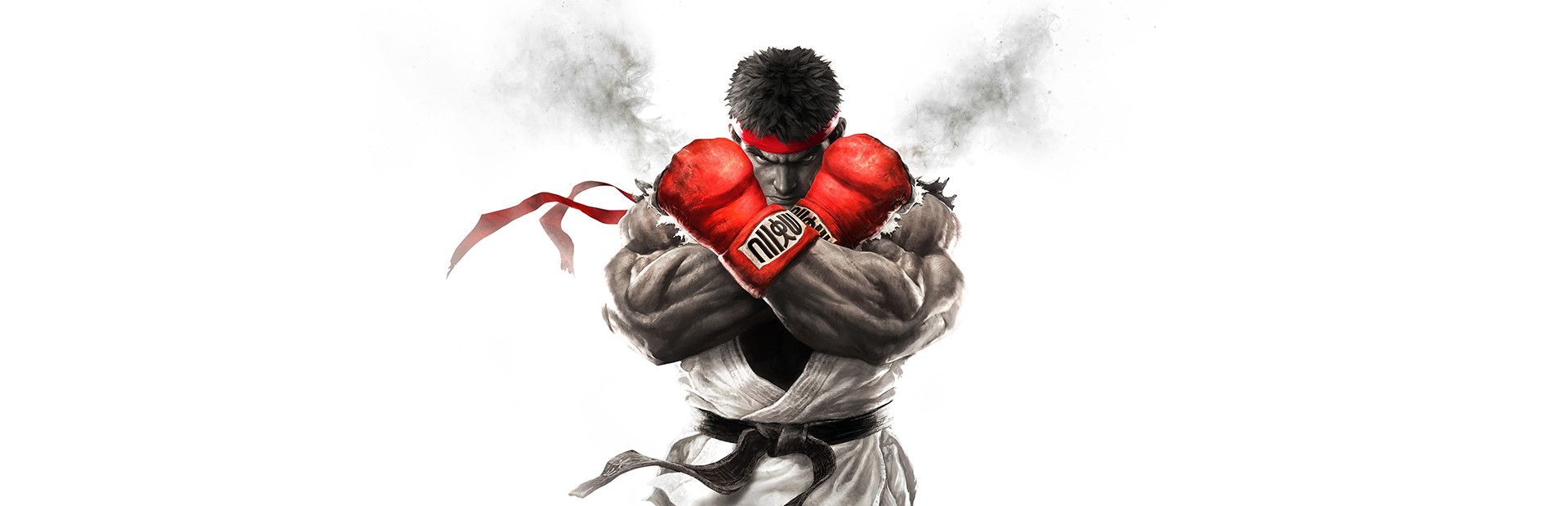 Street Fighter V cover image