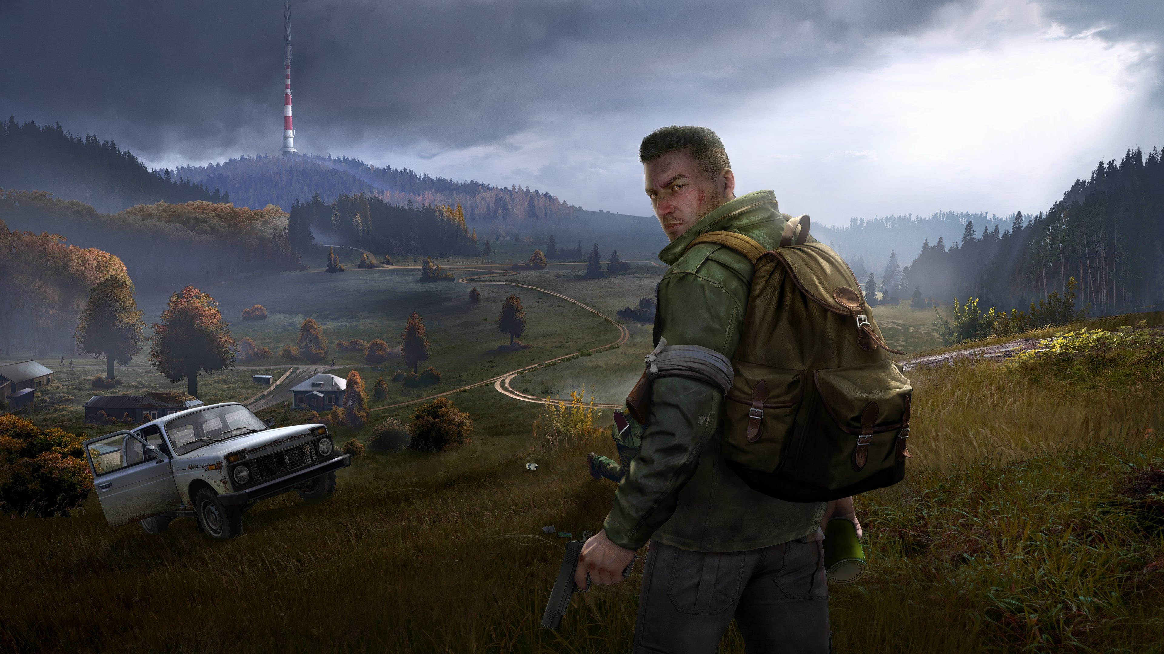 DayZ cover image