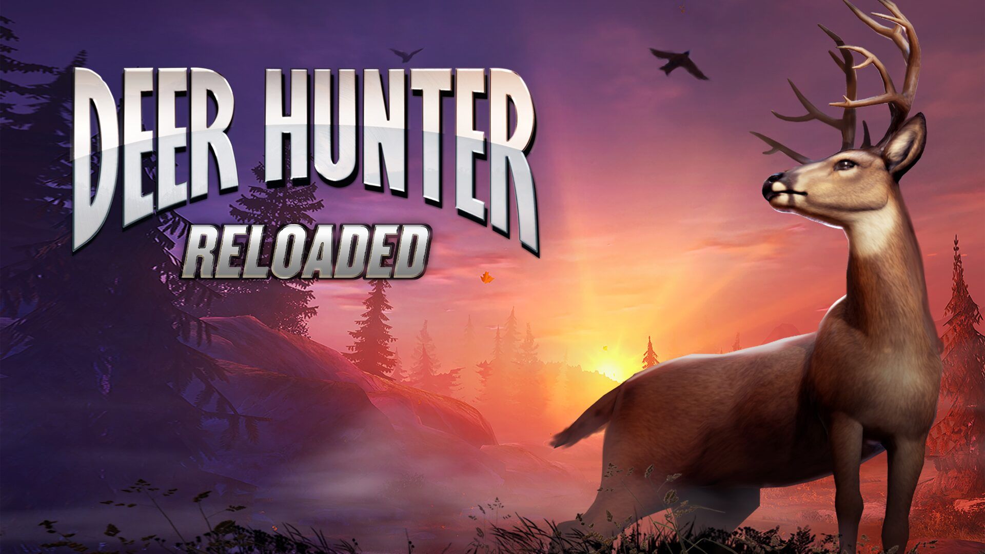 Deer Hunter: Reloaded cover image