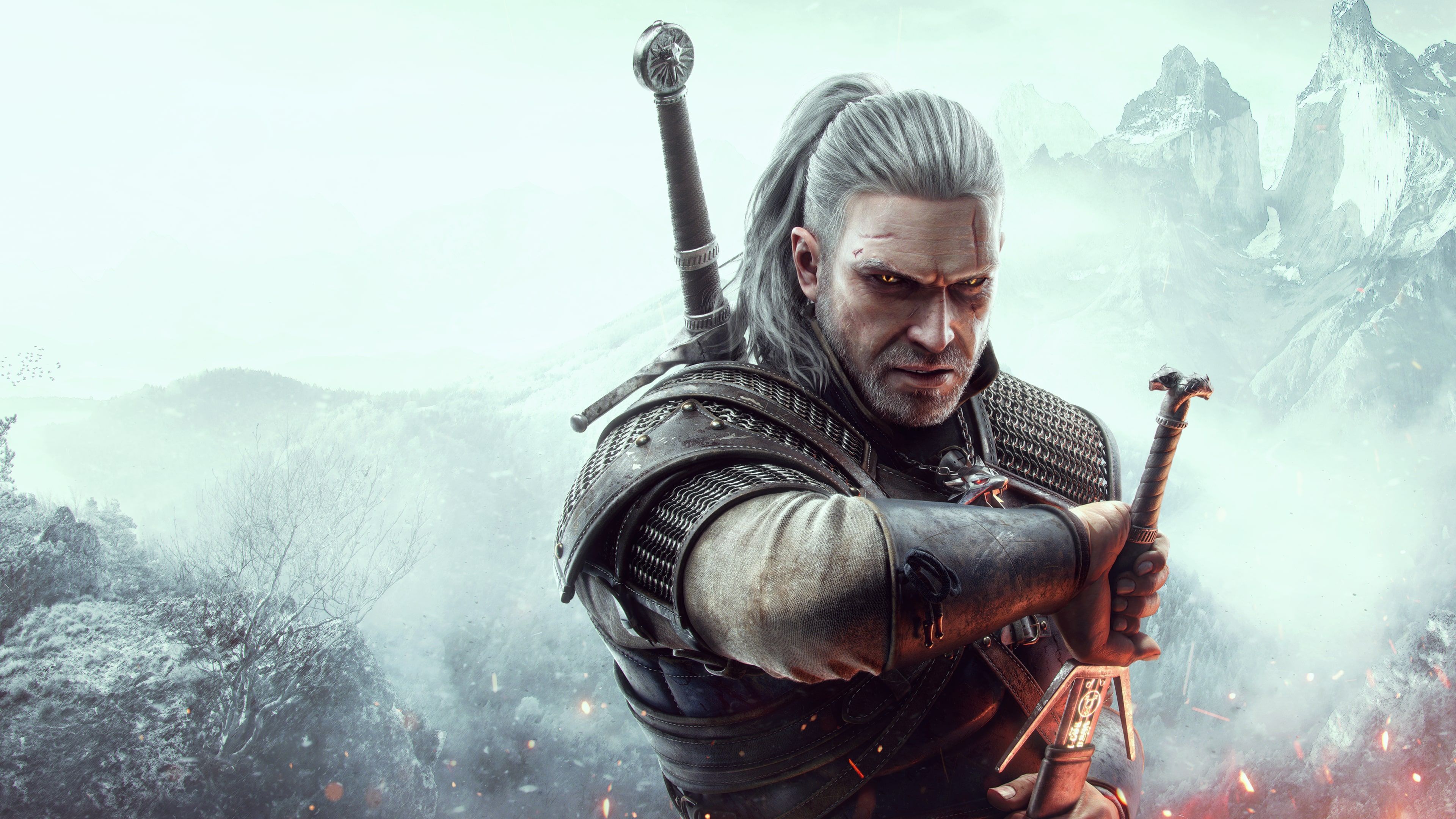 The Witcher 3: Wild Hunt cover image