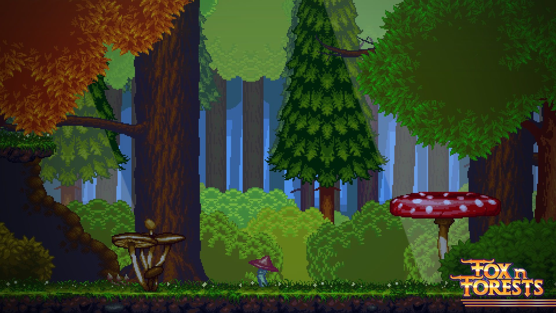 FOX n FORESTS cover image