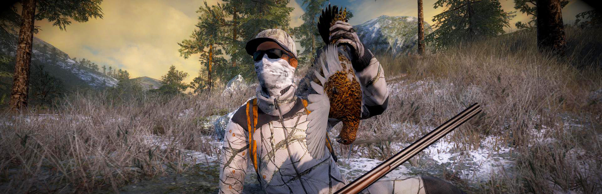 theHunter Classic cover image