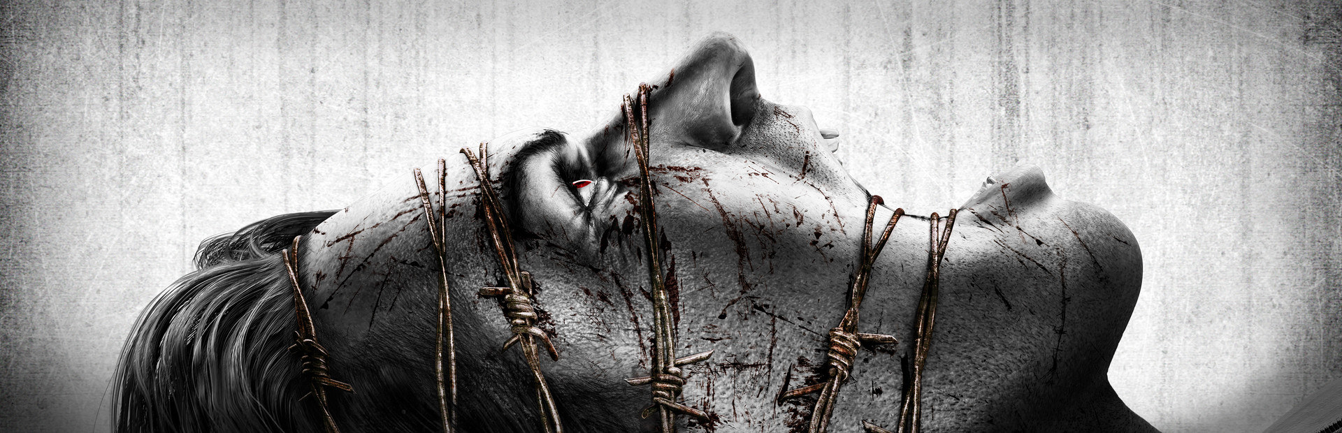 The Evil Within cover image